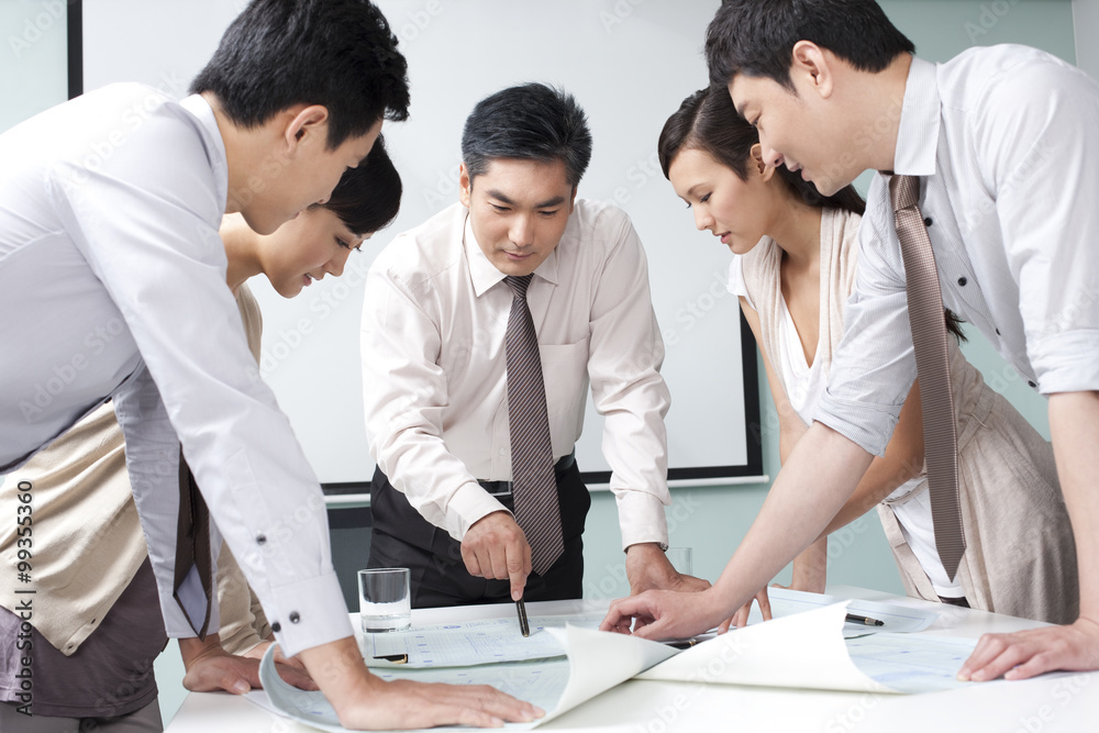 Fototapeta premium Business Executive Explaining Business Plan to Business Team