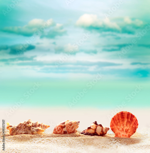 Seashells