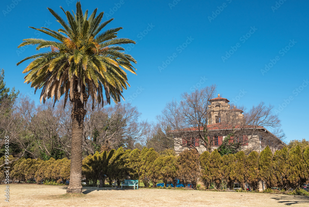 Palm tree and bench next to the city hall in Bloemfontein Palm tree and bench next to the city hall in Bloemfontein