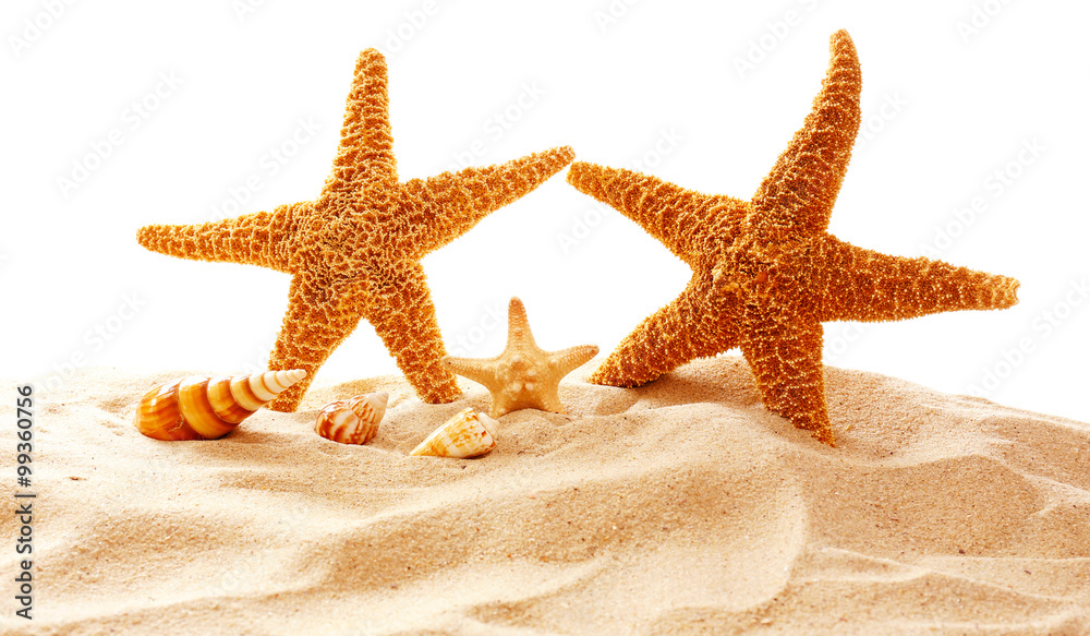 Starfishes and shells on sand against white background Starfishes and shells on sand against white background