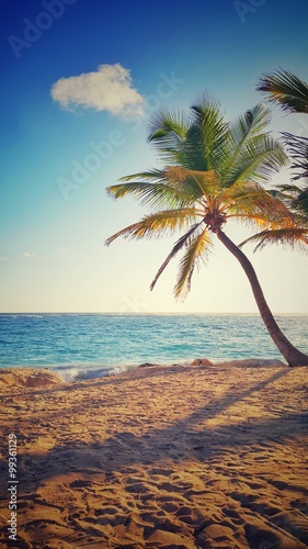 Fototapeta Naklejka Na Ścianę i Meble -  Palm tree on a tropical island