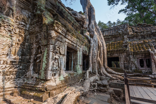 Ta Prohm temple in Siem reap   Cambodia
