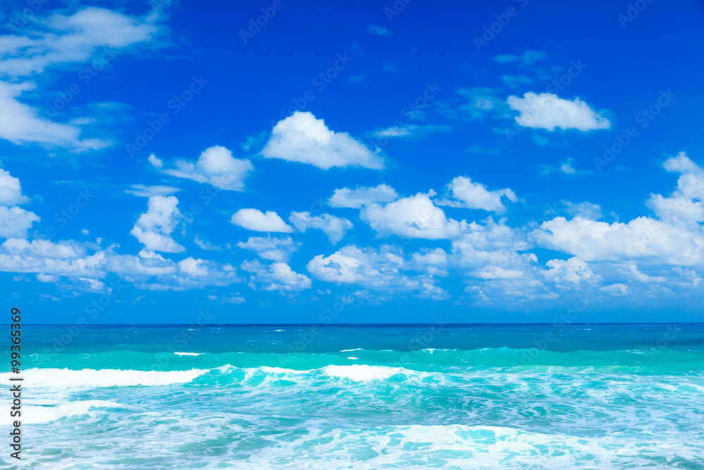 Obraz premium tropical sea