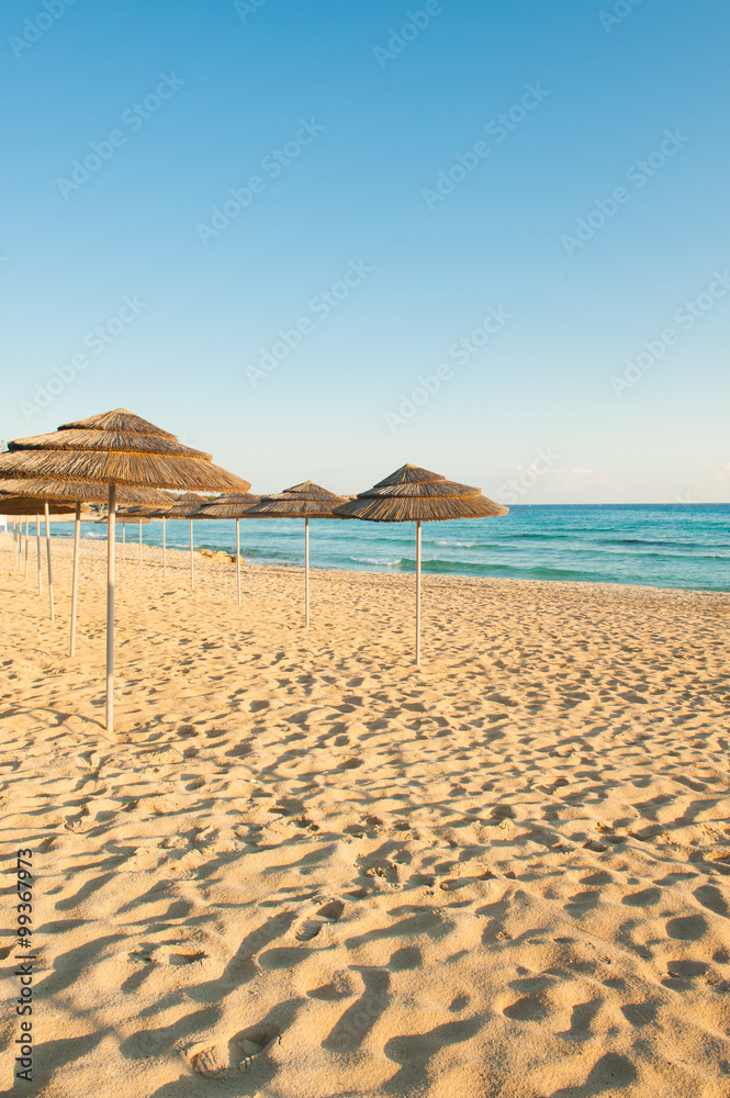 Obraz premium Umbrellas on the seaside