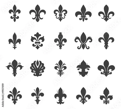 Obraz Zestaw kwiat lilii