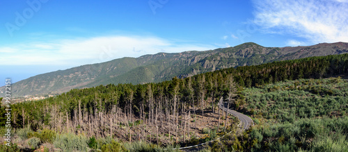 Green landscape of Tenerife island, Spain