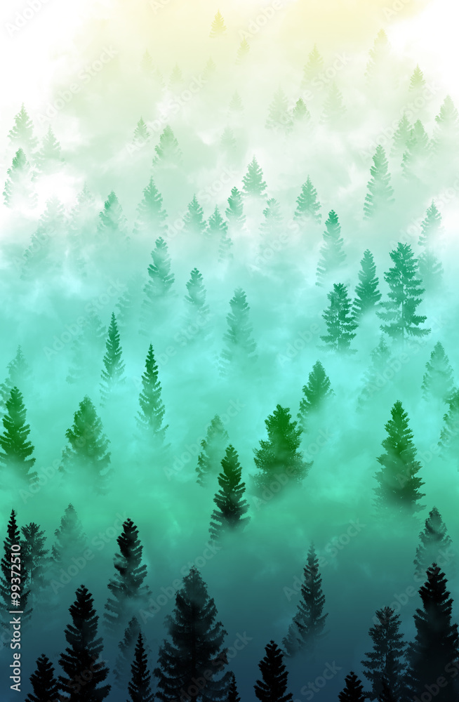 misty forest landscape