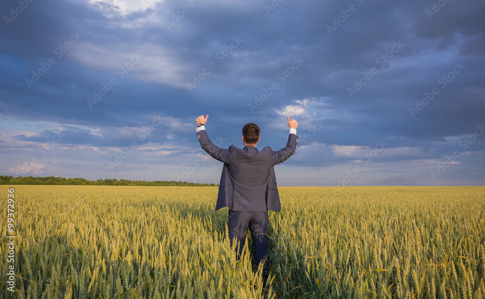 happy farmer, businessman, standing in wheat field with his hands and thumbs up happy farmer, businessman, standing in wheat field with his hands and thumbs up