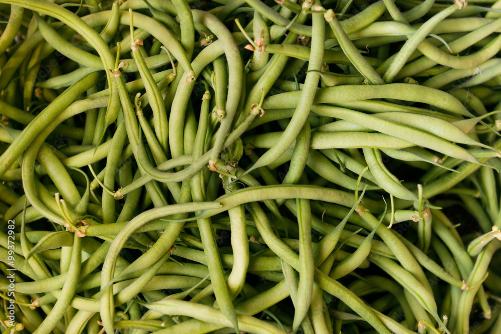 Pile of just harvested green beans Pile of just harvested green beans