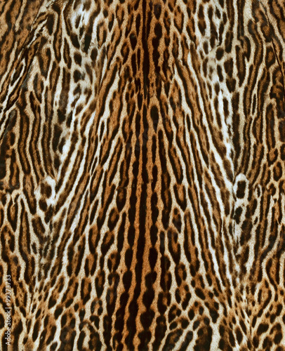 ocelot fur background