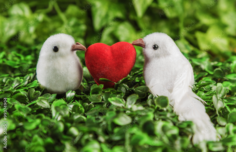 The concept of Valentine's Day two little white bird the lovers, heart on the background of nature.