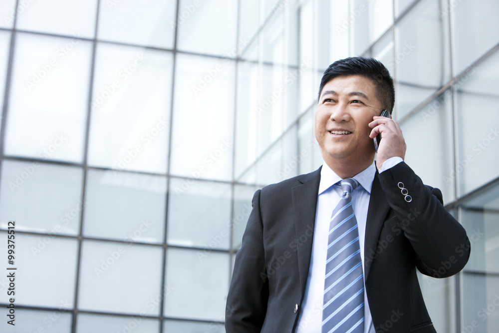 Businessman on the phone