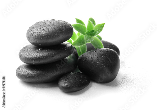 Canvas Print Stack of stones and a green flower, isolated on white