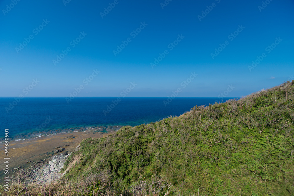 沖縄県　ヤンバルクイナ展望台からの景色