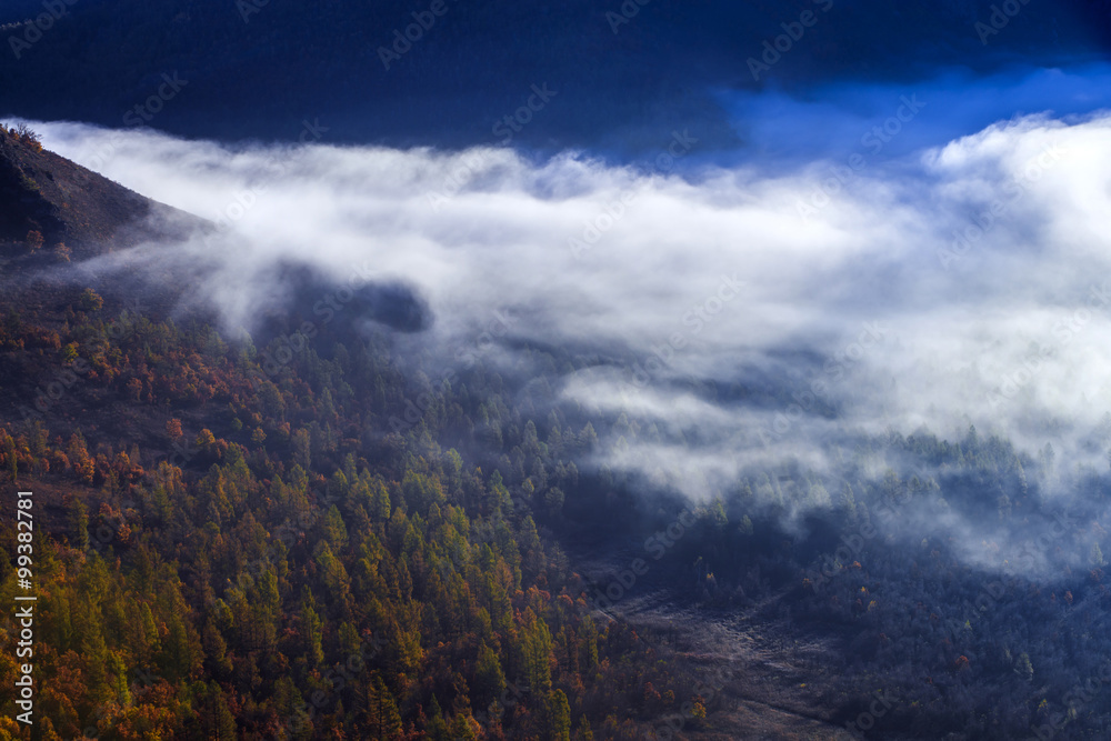 Natural Scenery of Aershan covered by fog,China