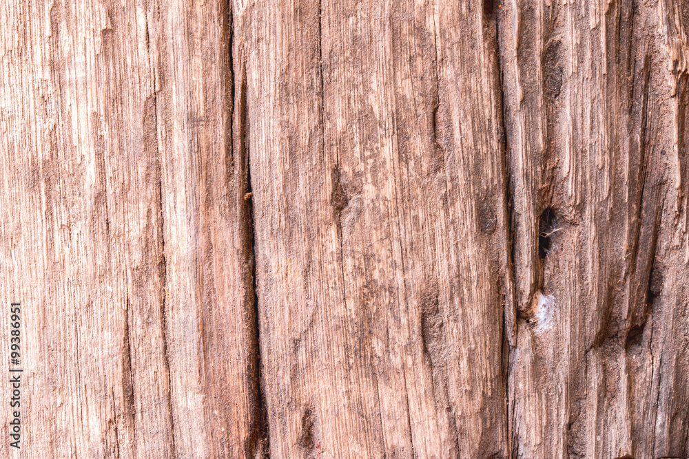 wood texture background wood texture background