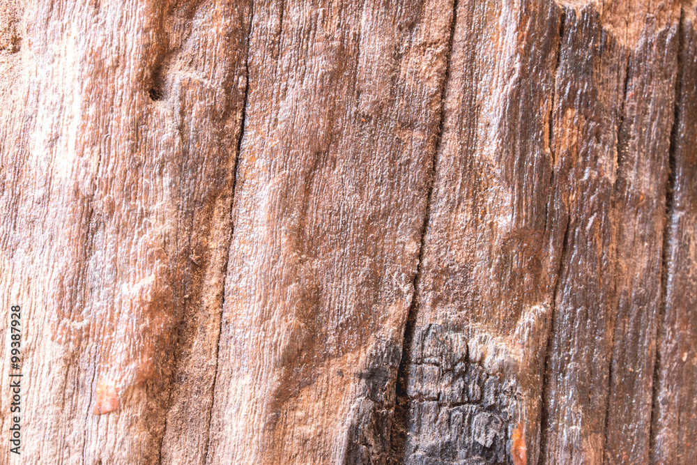 Naklejka premium wood texture background