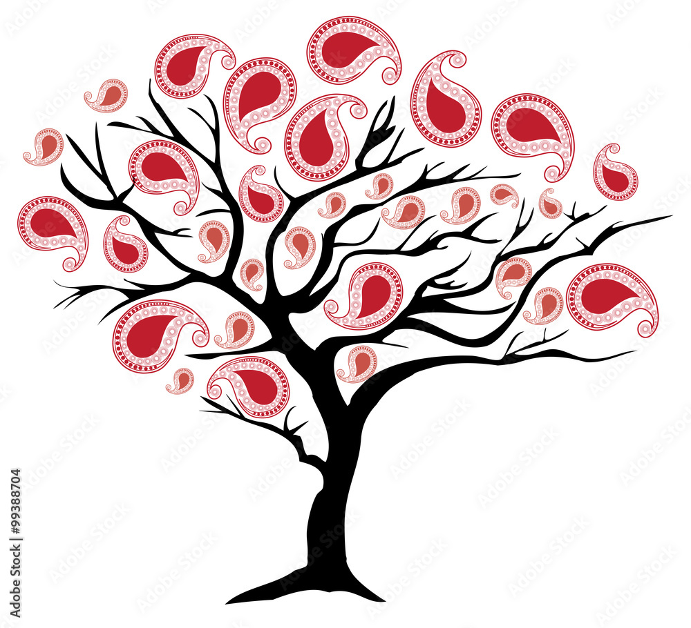 Fototapeta premium Paisley