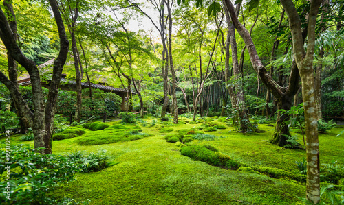 Foto 京都　祇王寺