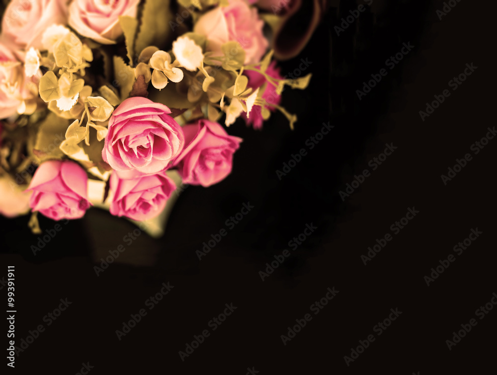 pink rose on black background pink rose on black background
