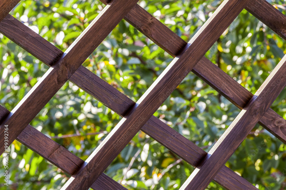 A fragment of a wooden summerhouse A fragment of a wooden summerhouse