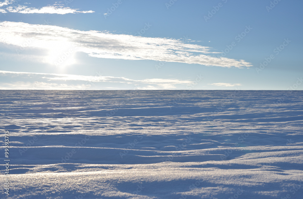 Snow field