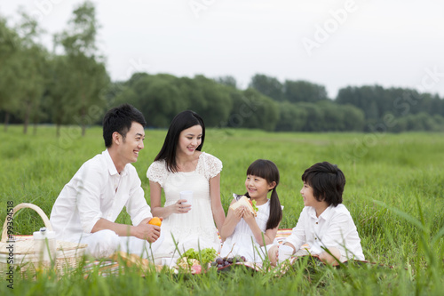 Happy young family having a picnic on the grass