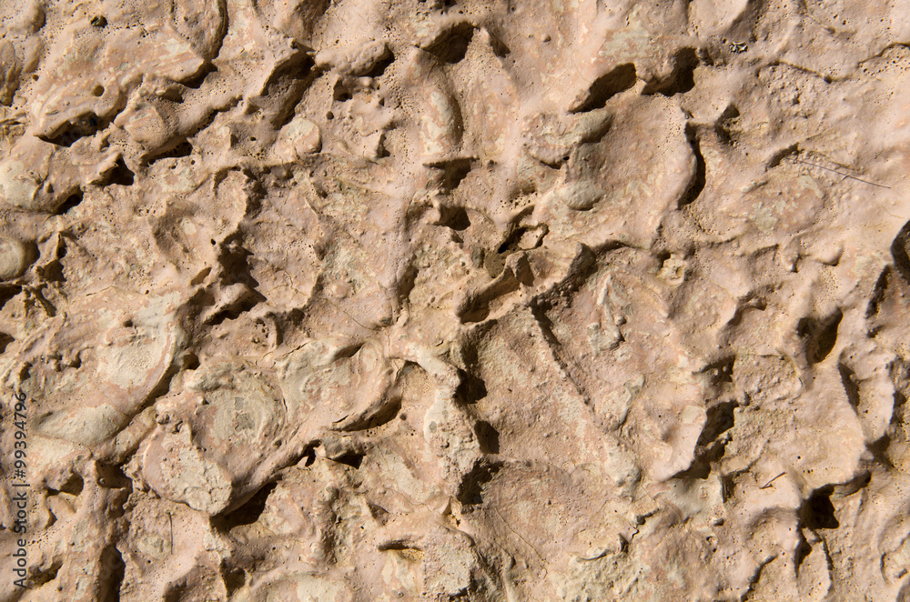 Naklejka premium Cement texture