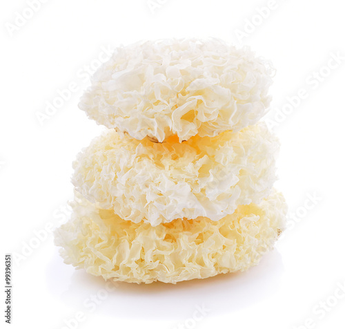 White Jelly Fungus  on white background