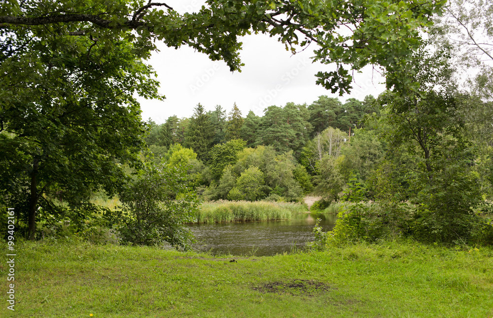 view to summer forest and river or lake