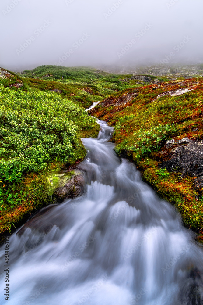A small mountain stream cutting through the green, lush hill-side under early morning fog, Aurland, Norway A small mountain stream cutting through the green, lush hill-side under early morning fog, Aurland, Norway