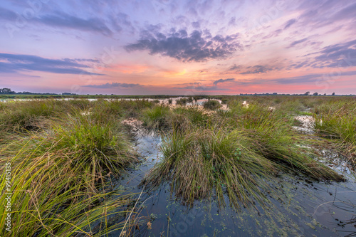 Marsh landscape with pastel colors