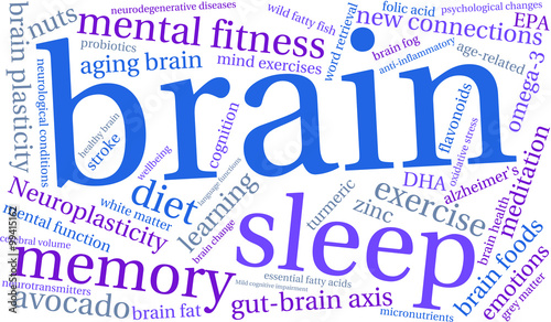 Brain Word Cloud