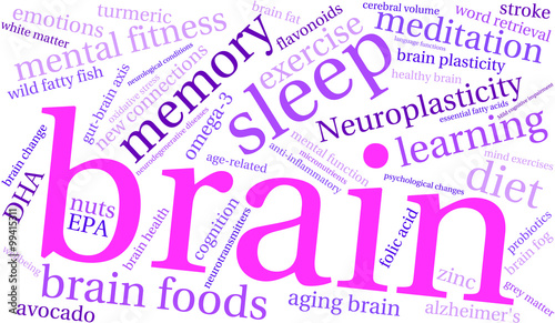 Brain Word Cloud on a white background. 