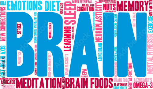 Brain Word Cloud