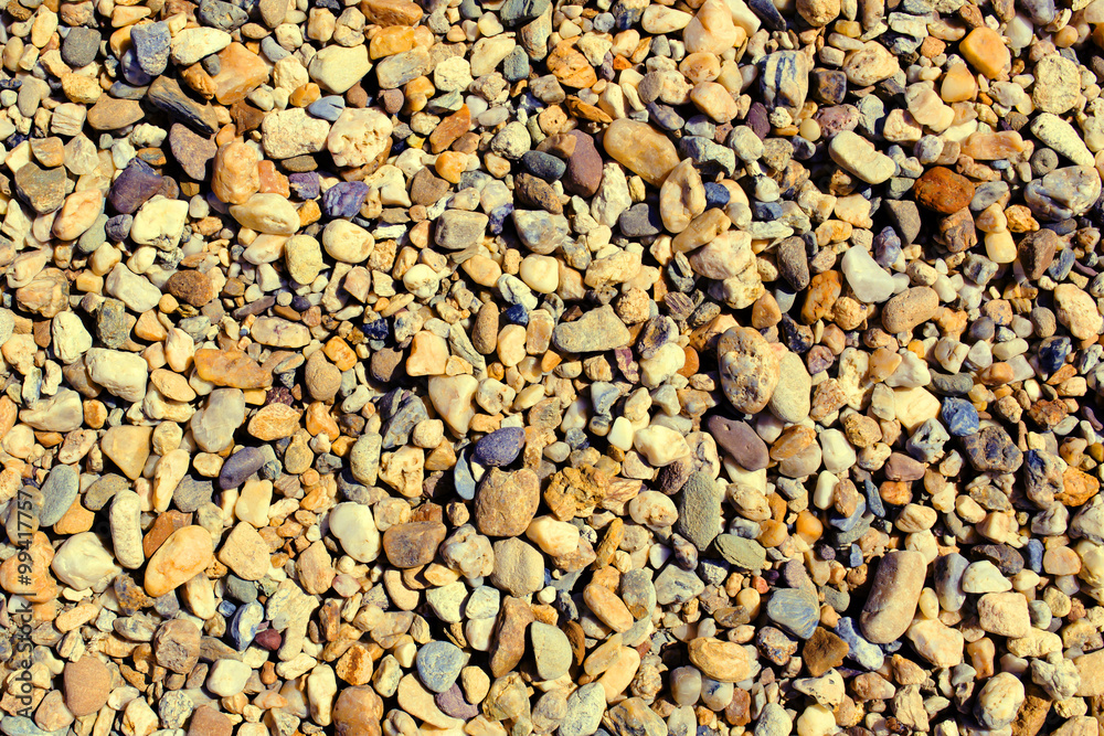 pebbly surface pebbly surface