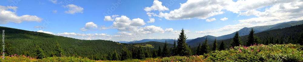 Panoramic views of the beautiful landscape in the Carpathian mountains