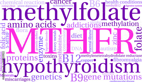 MTHFR Word Cloud