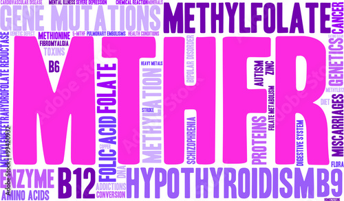 MTHFR Word Cloud