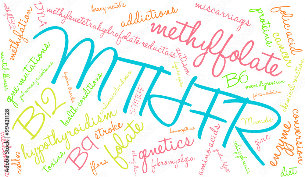 MTHFR Word Cloud on a white background. MTHFR Word Cloud on a white background.