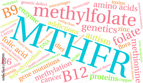 MTHFR Word Cloud