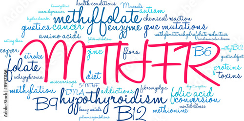 MTHFR Word Cloud on a white background. 