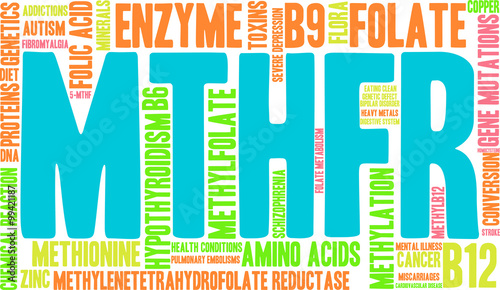 MTHFR Word Cloud