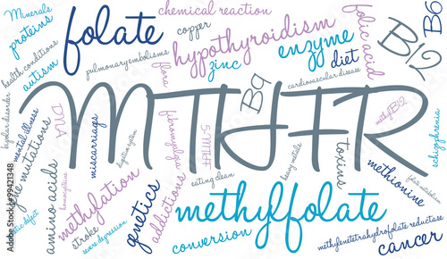 MTHFR Word Cloud