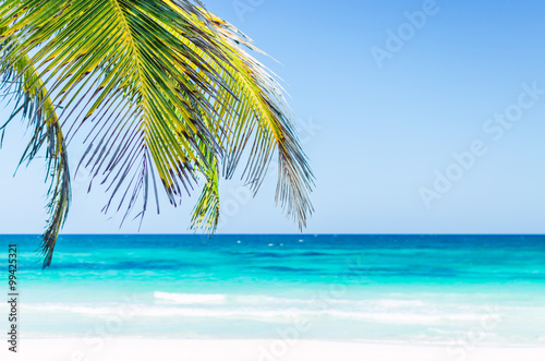Tropical vacation beach summer sea view. Palm trees over the background of turquoise sea and blue sky at exotic white sandy beach in the Caribbean sea
