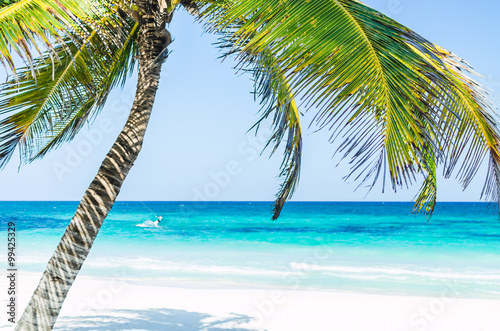 Fototapeta Naklejka Na Ścianę i Meble -  Tropical vacation beach summer sea view. Palm trees over the background of turquoise sea, blue sky and a man doing kiteboarding at exotic white sandy beach in the Caribbean sea