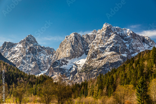 Mountain Range And Forest-Kranjska Gora,Slovenia