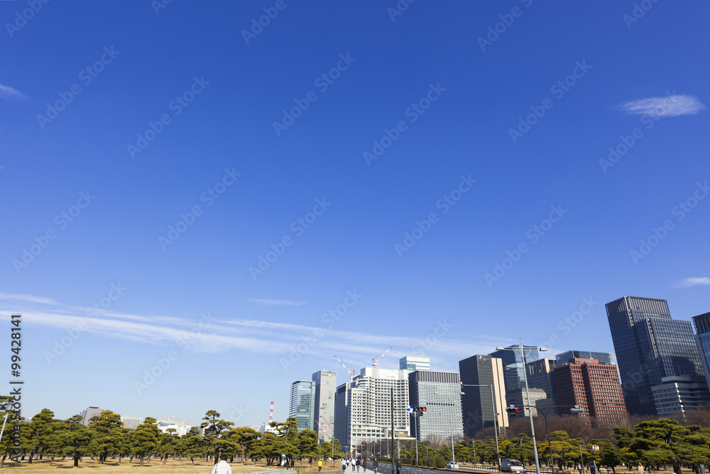 Fototapeta premium 皇居から望む丸ノ内高層ビル街