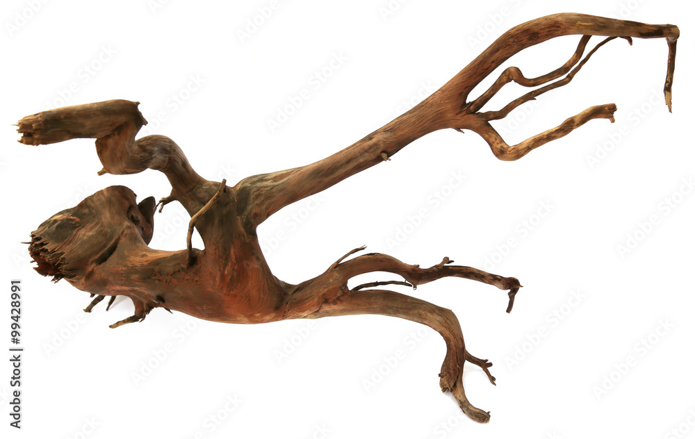 Driftwood Driftwood
