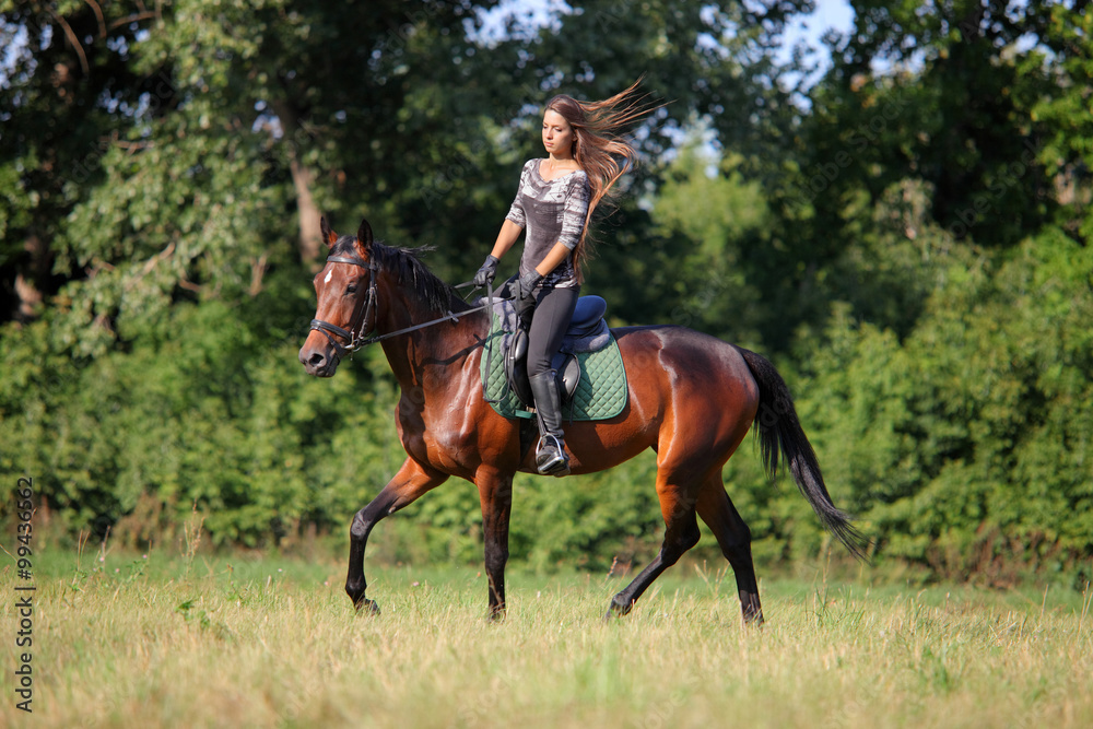 Obraz premium Young woman riding Trakehner horse 